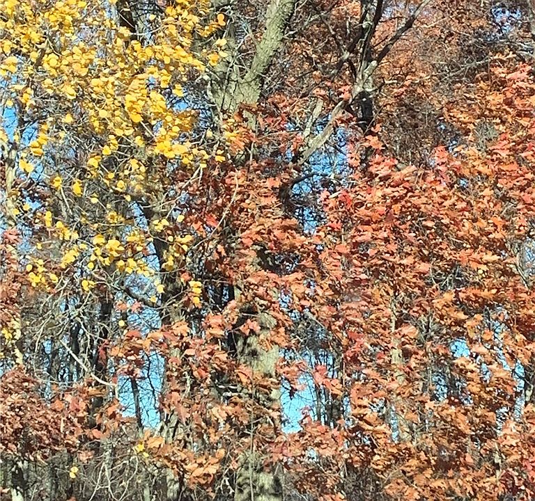 1st image of 3 Acres Wilderness Rd.