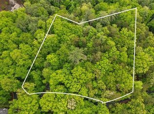 9002 Trotters Ln, Big Canoe, GA 30143