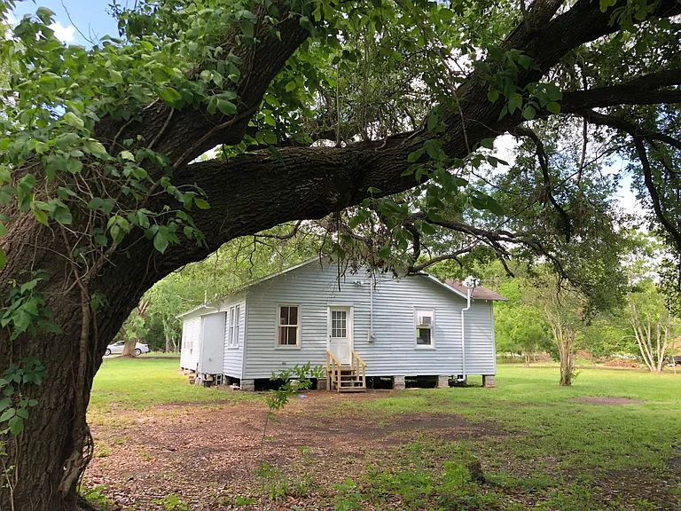 Back yard shaded by huge oak