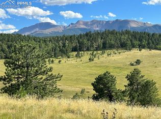 143 Markus Rd, Woodland Park, CO 80863