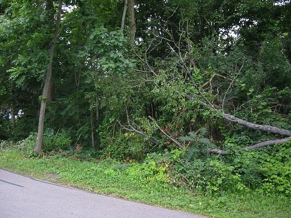 2nd image of 28122 N Lake Dr
