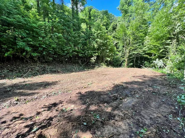 LOT -10B Timber Estates Rd, Bryson City, NC 28713