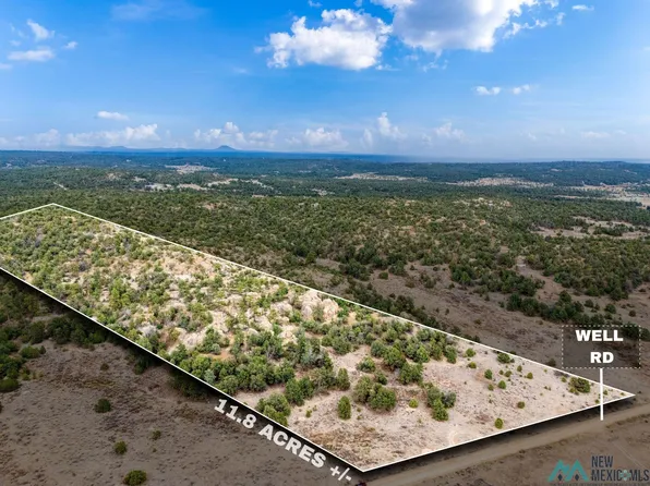 12 Nightwalker Trl, Pinehill, NM 87357