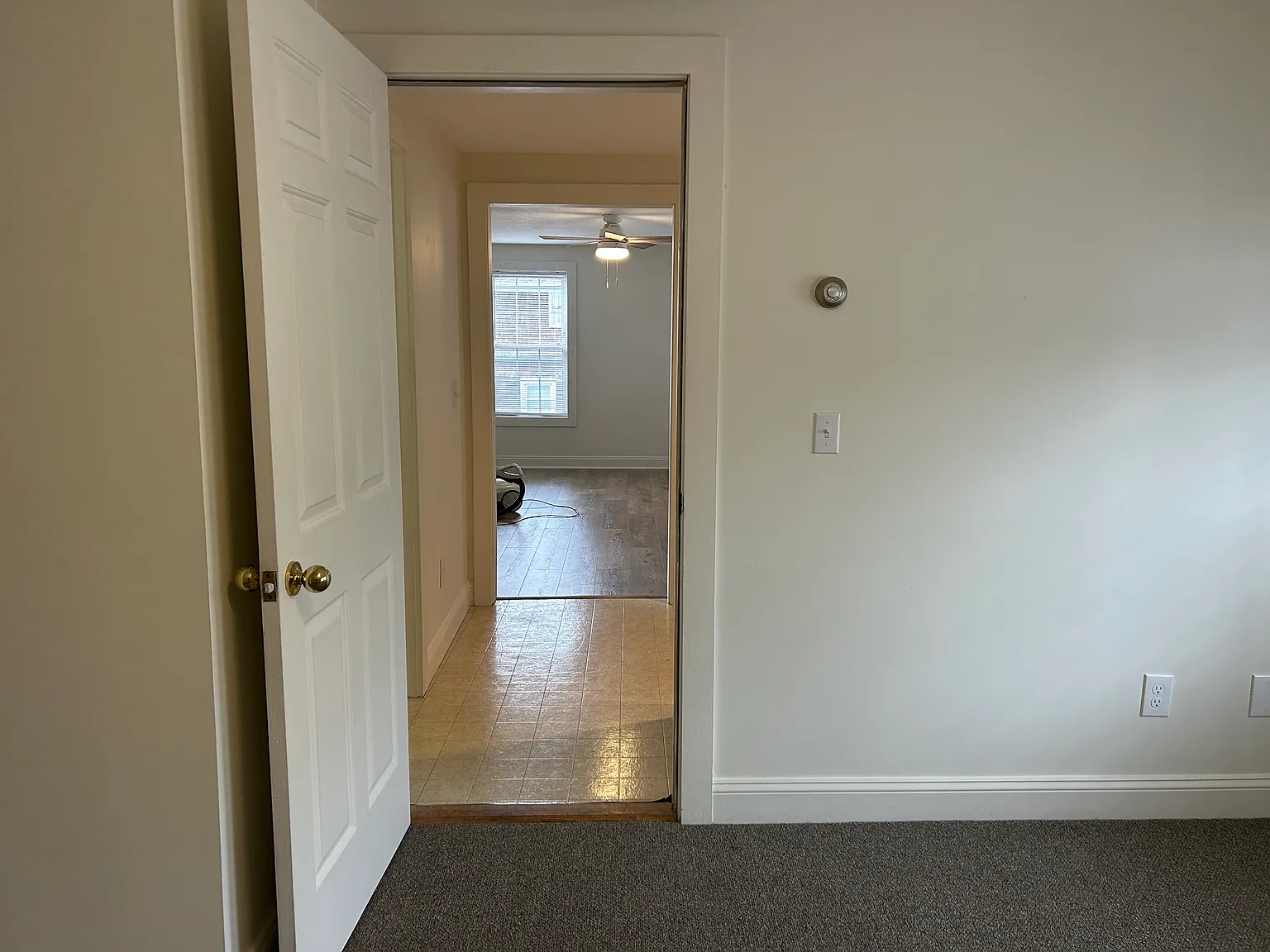 1 bed, $1,100 — Photo 4