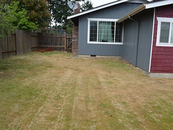 rest of back yard