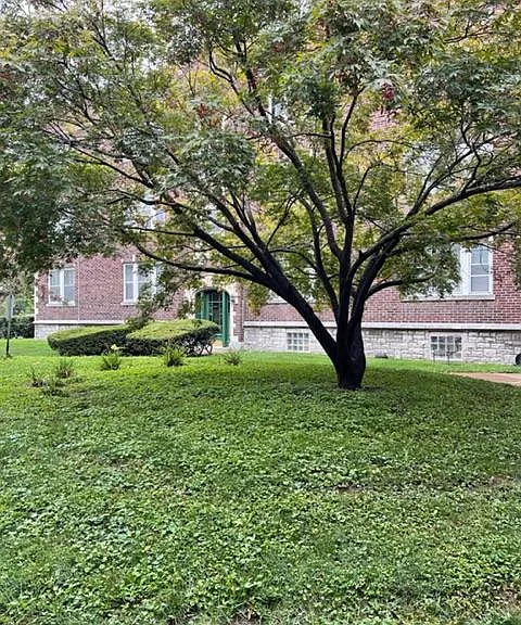 1111 Bellevue Ave #1E — Photo 4