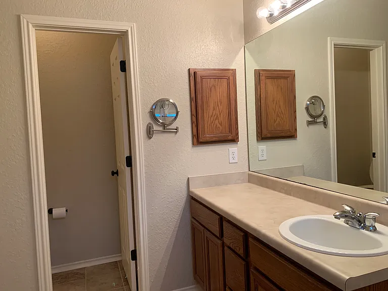 Primary Bathroom - vanity, water closet (toilet)