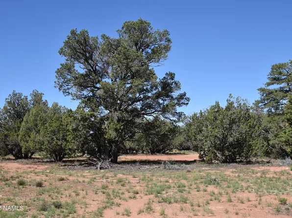 596 S Overland Trl #171, Williams, AZ 86046