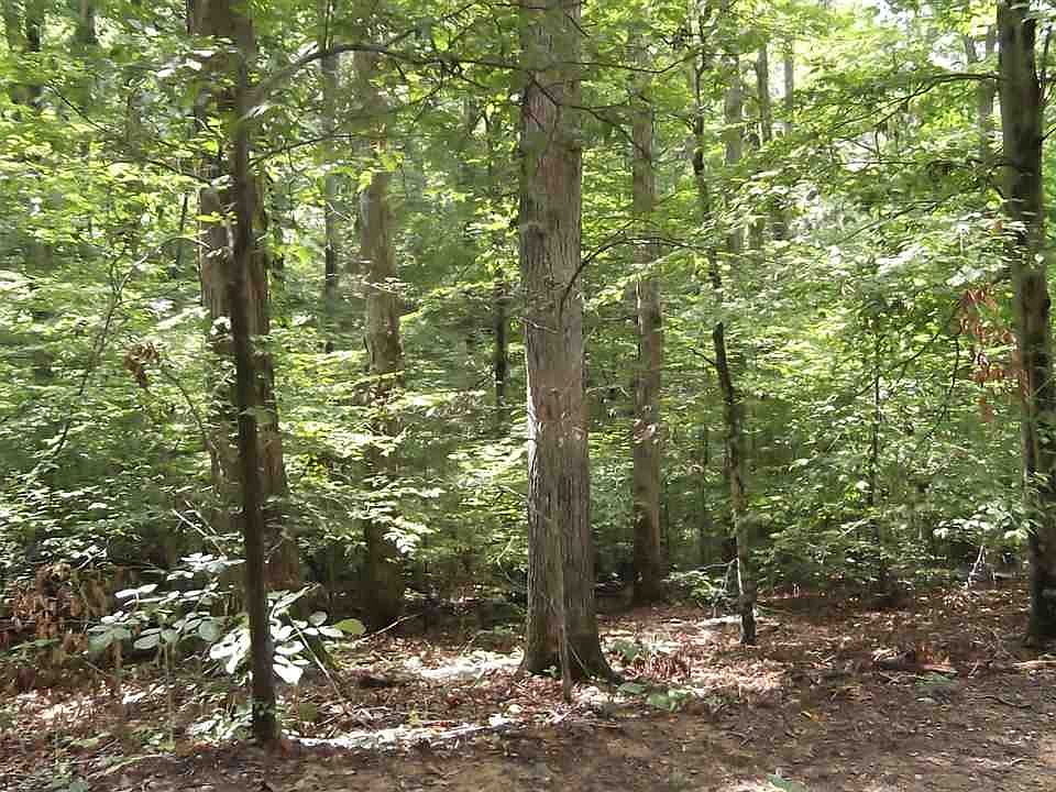 1st image of Cove Ln