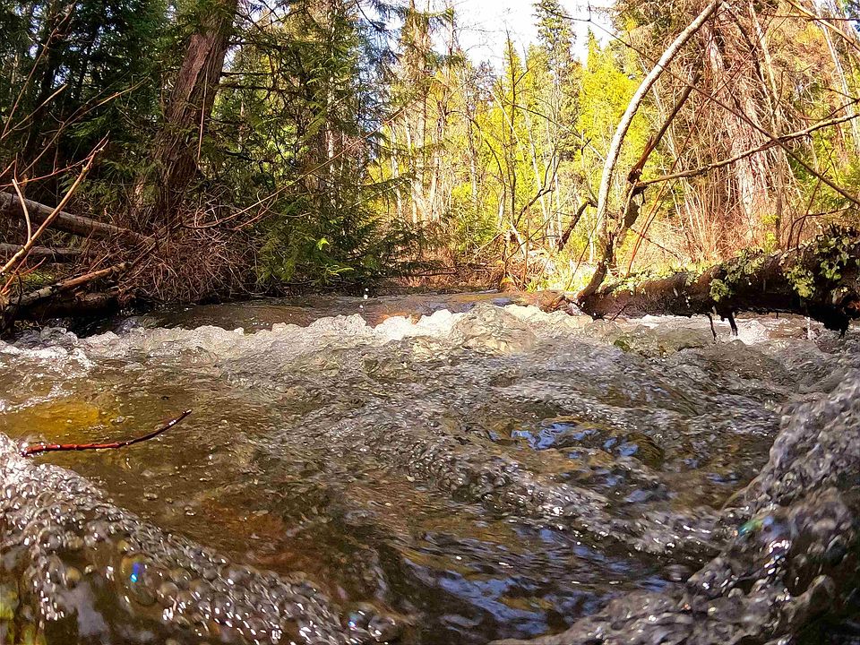 3514 Lael Rd, Kettle Falls, WA 99141 MLS 202314735 Zillow