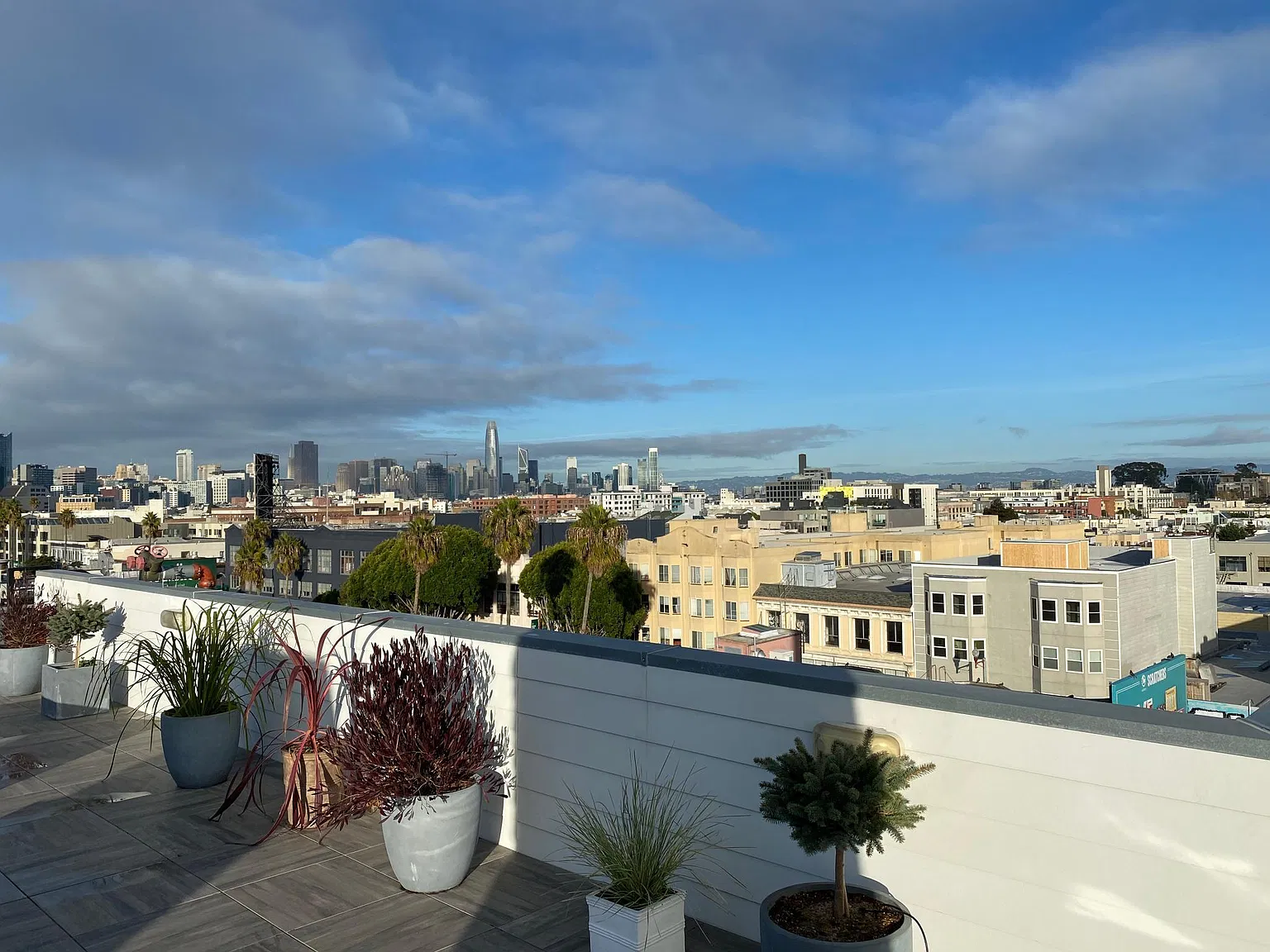 1 bed, 572 sqft, $3,800 — Photo 4