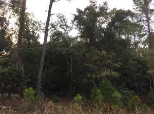438 Tropical Dr, Georgetown, FL 32139