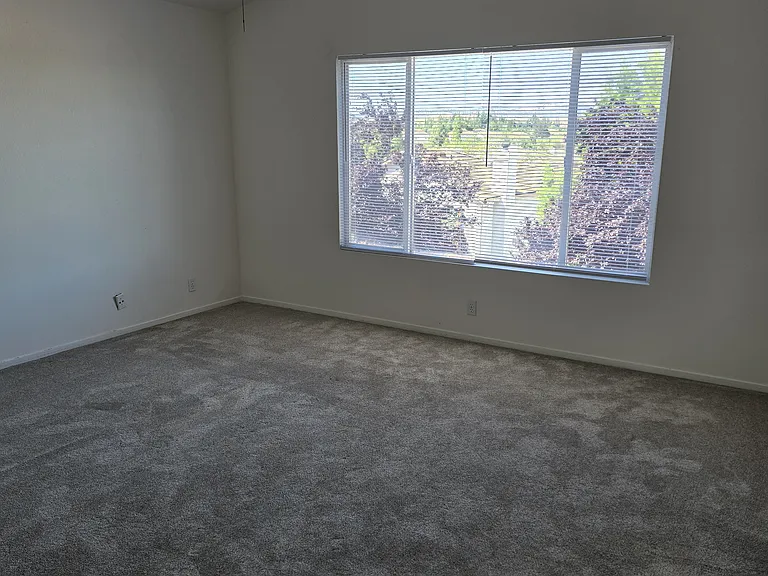 2308 Sheffield Ct — Photo 7