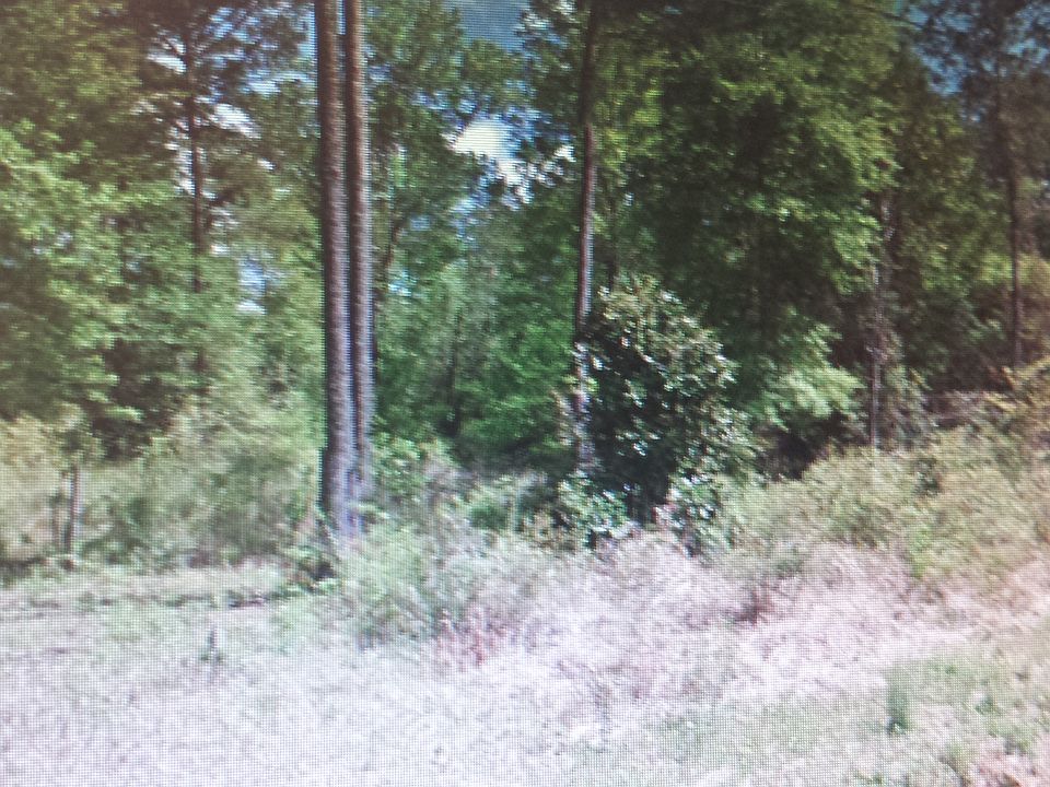 Pinelands