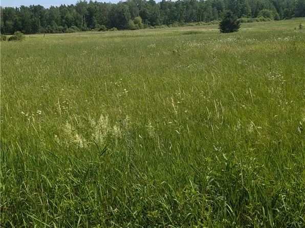 Lot 2 CSM #2158 165th Avenue, Stanley, WI 54768