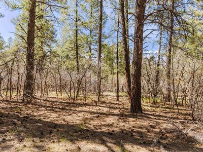 758 Evergreen Drive, Pagosa Springs, CO, 81147