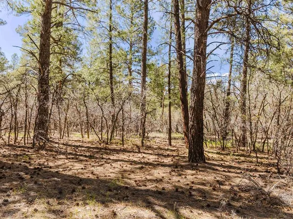 758 Evergreen Drive, Pagosa Springs, CO 81147