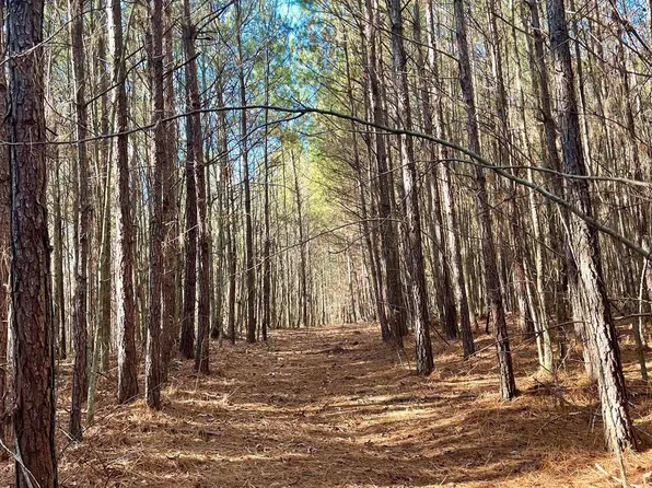 0 County Road 134 #1, Woodland, AL 36280