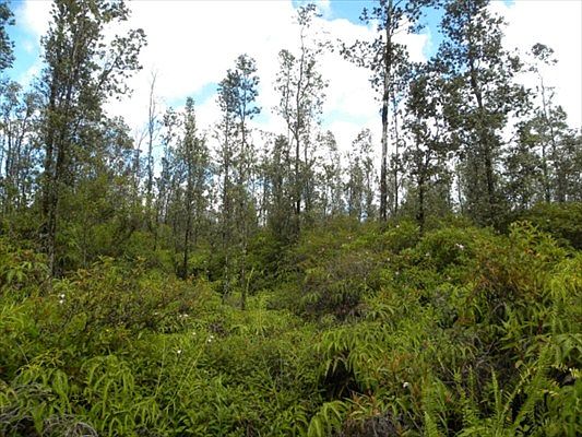 1st image of Kiele St Lot 11