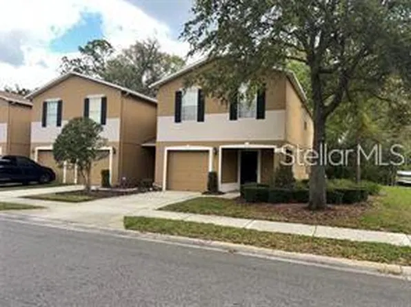 4310 Silver Falls Dr, Land O Lakes, FL 34639