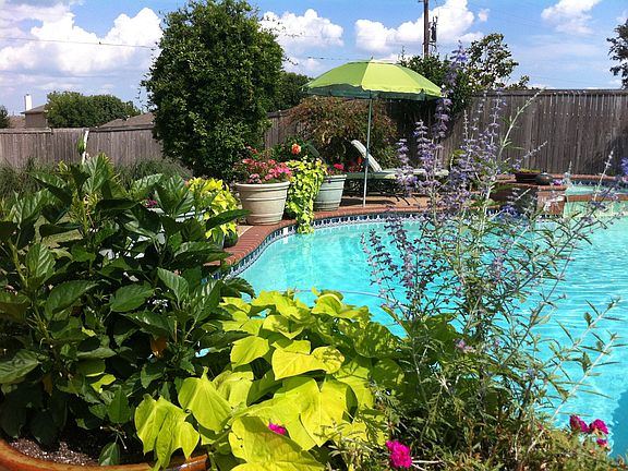 Backyard paradise