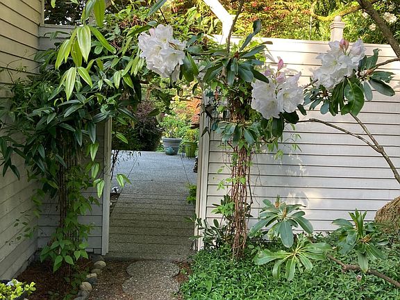 Gate to patio from driveway