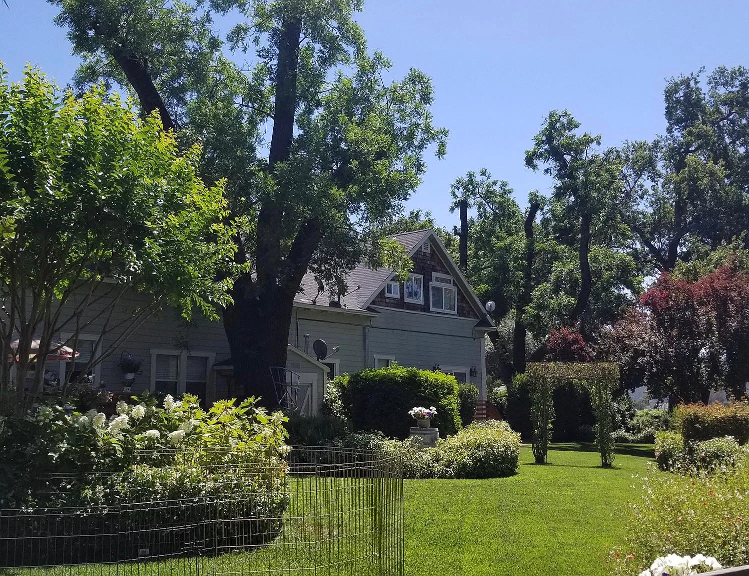 1225 Oakville Grade — Photo 2