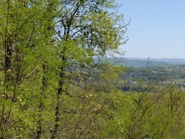 LOT 62 Rhea Ridge Dr, Blacksburg, VA 24060