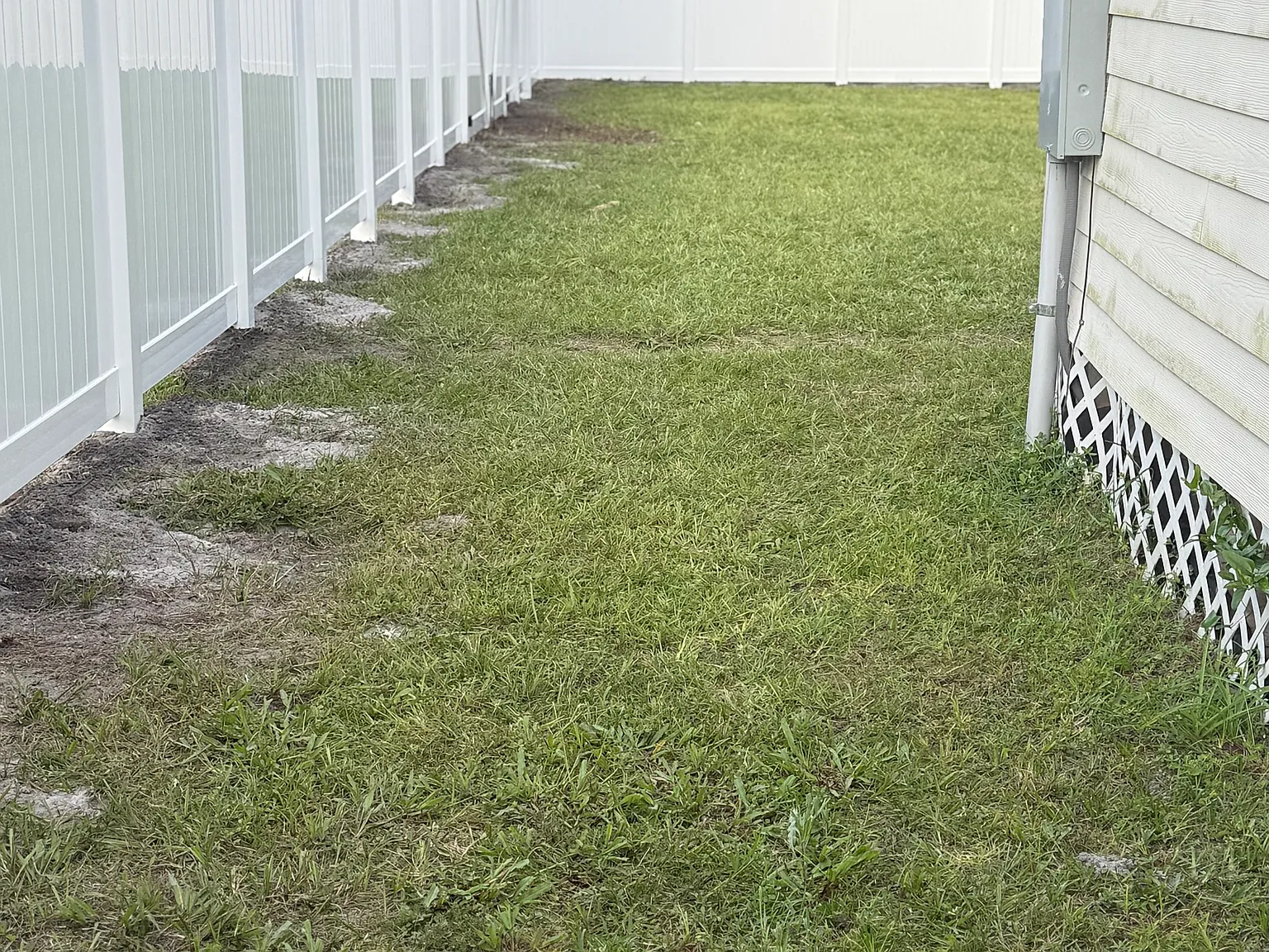 2 bed, 750 sqft, $1,500 — Photo 3