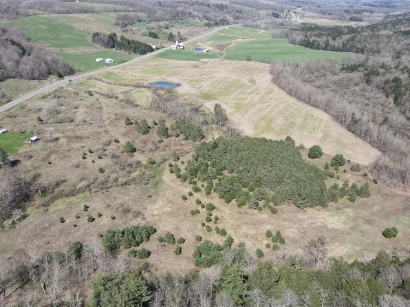 6082 Brackel Rd, Cincinnatus, NY 13040