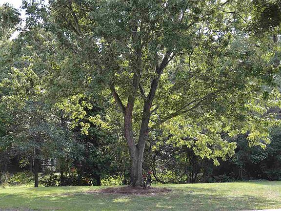3rd image of 103 Live Oak Ct