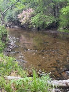 TBD Fraser Road, Sparta, NC, 28675