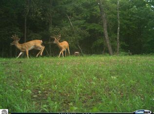 2426 N State Rd, Luther, MI 49656