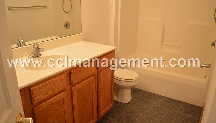 7329 Blue Maple Trl — Photo 7