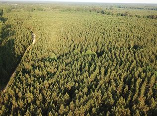 Elam Tyler Rd, Sontag, MS 39665