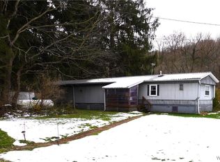 9111 Route 219 Rd, West Valley, NY 14171