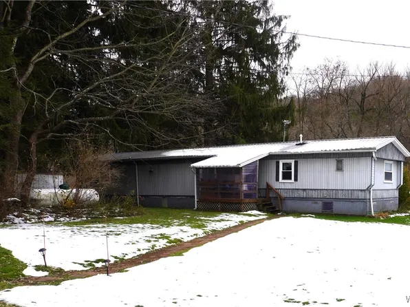 9111 Route 219 Rd, West Valley, NY 14171