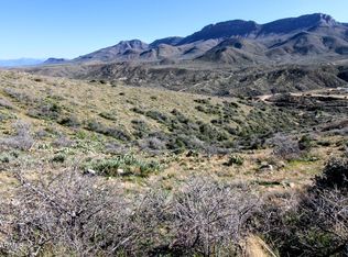 TBD Mountain Lion Pass -- #4, Globe, AZ 85501