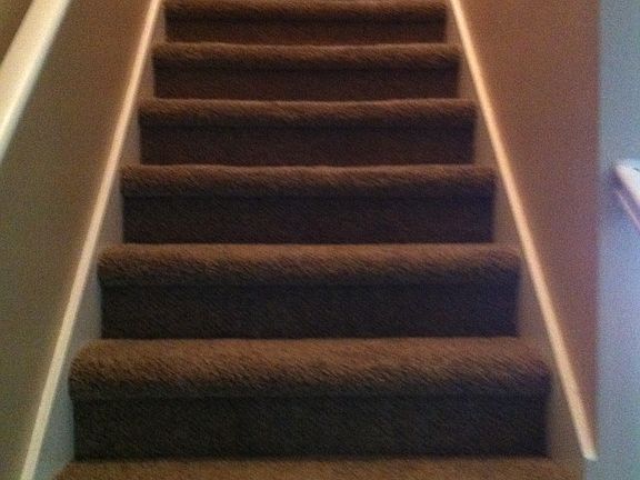New Carpet