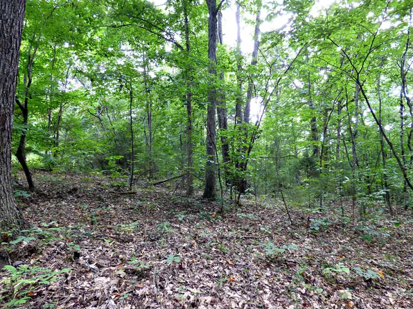 LOT 1 Dumplin Loop Rd, New Market, TN 37820