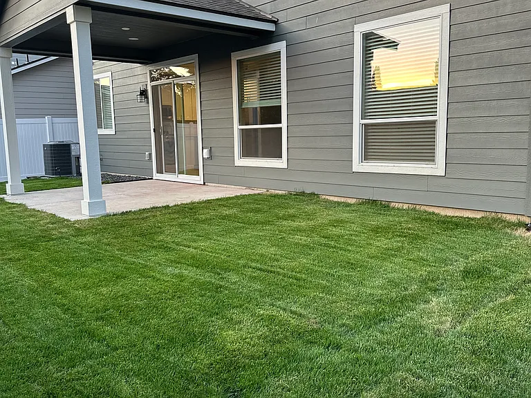Backyard. Fully Landscaped.