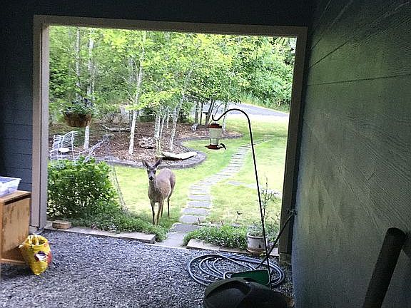 5th image of 2633 Western Dr
