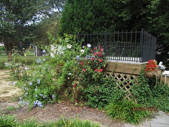 Lovely landscaping