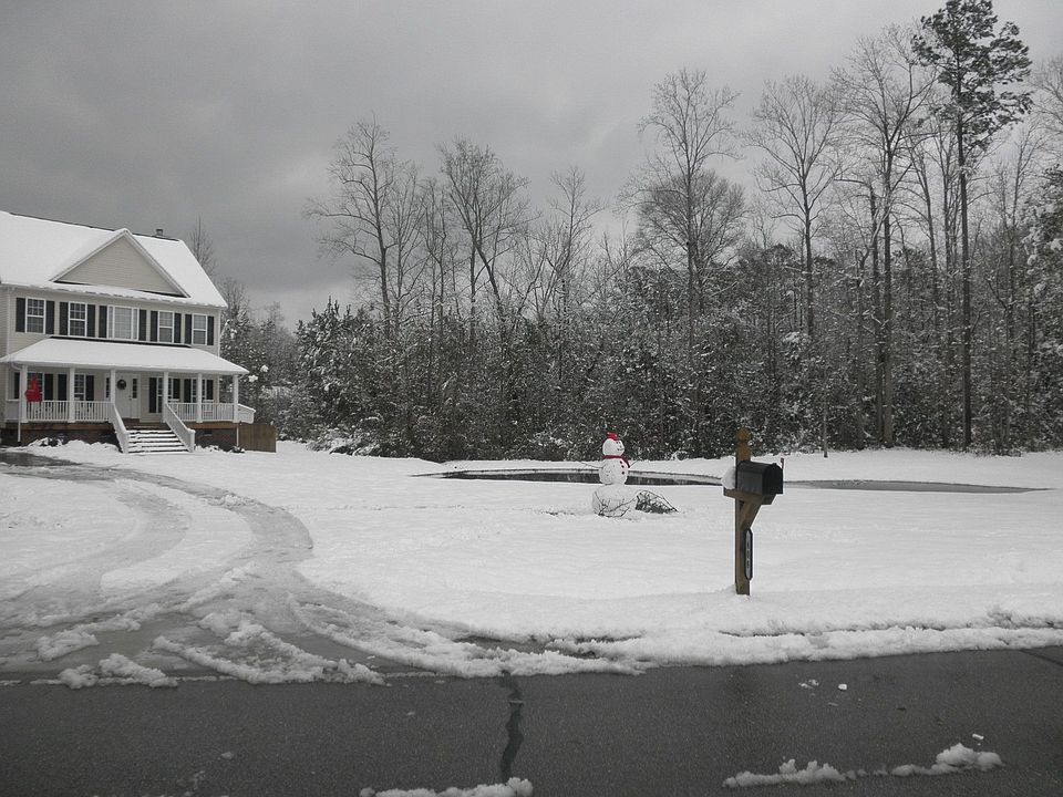 Snow 2010