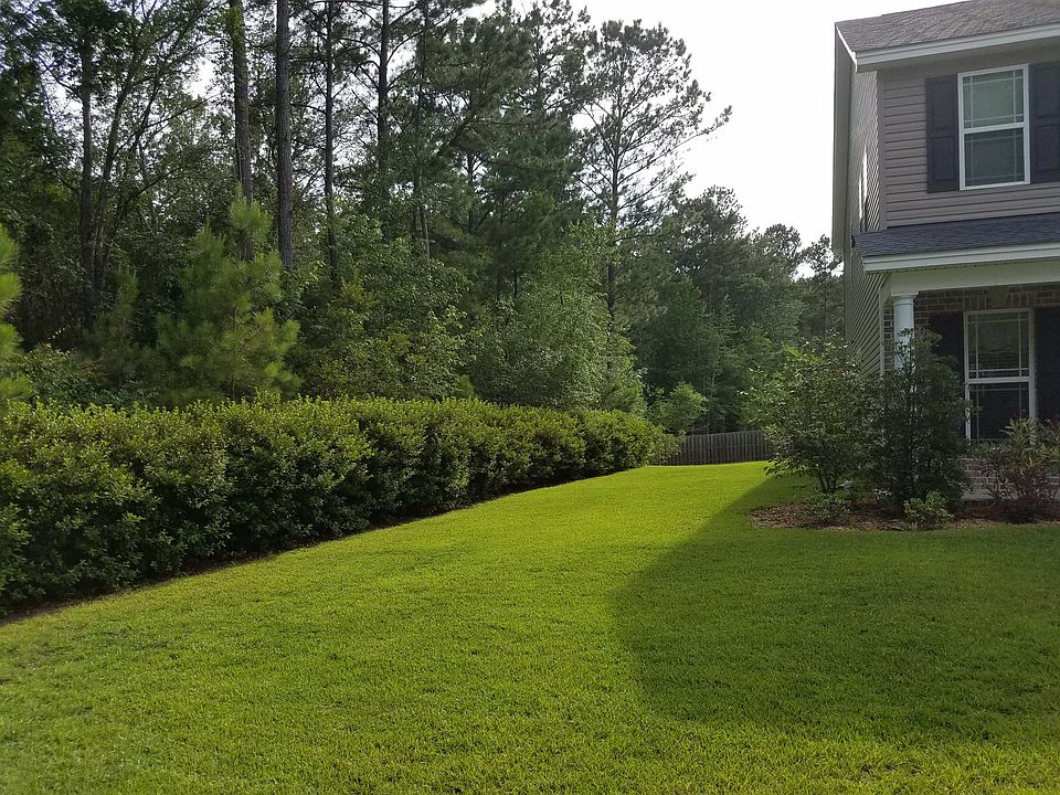 2nd image of 100 Redbud Ln