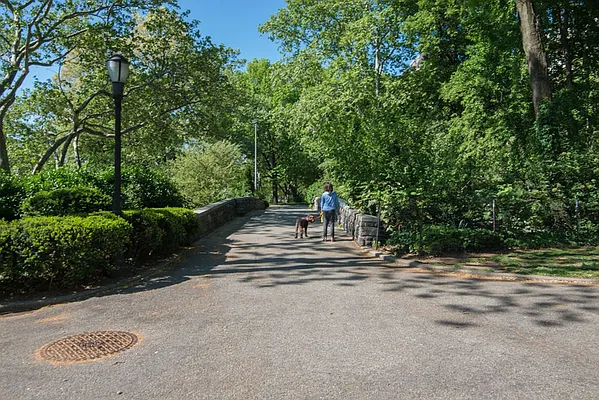 Rented by Sky Management | media 45