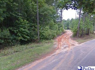 2400 Hanna Lake Rd, Johnsonville, SC 29555