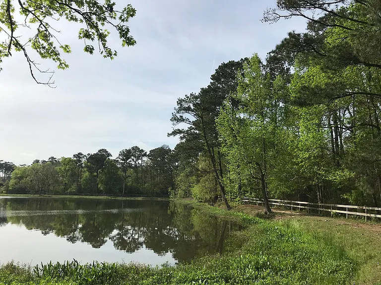walking distance to Neighborwoods park