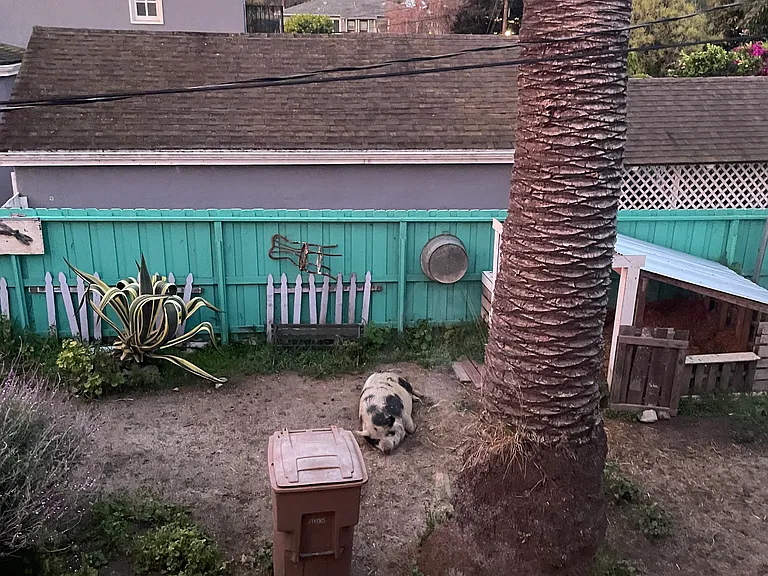 173-175-175 San Clemente St — Photo 5