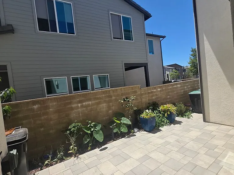 631 Gadwall — Photo 23